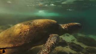 Non Siamo Soli - Eros Ramazzotti feat Ricky Martin