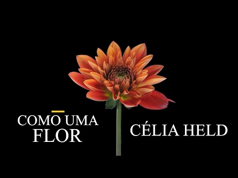 Como Uma Flor - Celia Held