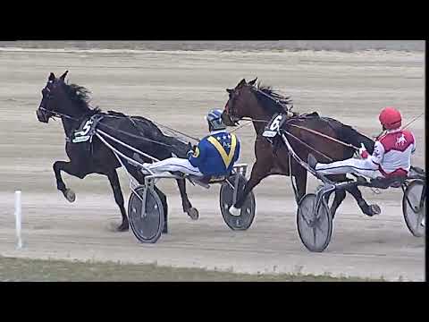 Napoli Trotto 19/02/2023 - 1ª corsa