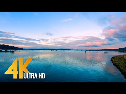 4K Short Preview-Nisqually National Wildlife Refuge, Washington State