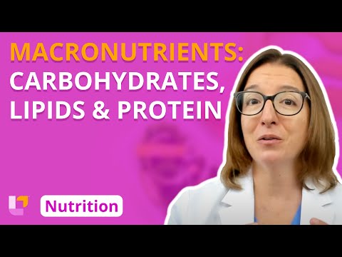 Macronutrients: Carbohydrates, Lipids, Protein - Nutrition Essentials for Nursing | @LevelUpRN