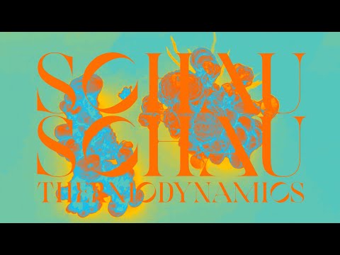 Schau Schau - Thermodynamics