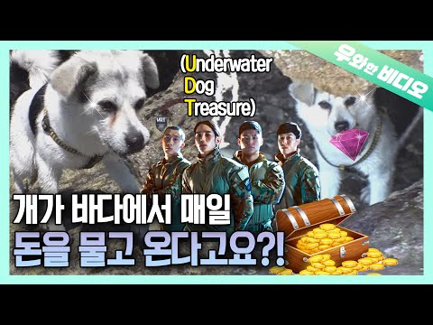 ¿Qué pasa si tu perrito trae dinero TODOS LOS DÍAS? 💸