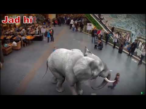 watch the last technology of 7D holographic, cute animals like real