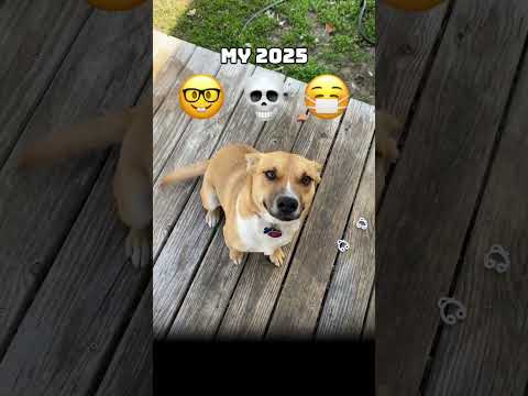 Meko’s 2025. pt. 3