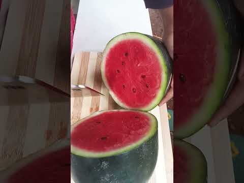 Different type of cutting watermelon /Shiju's world# Shorts