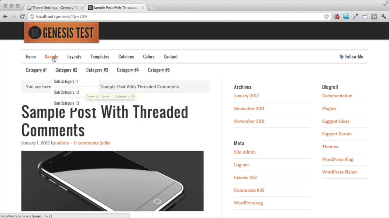 Setting Up Genesis Theme Options