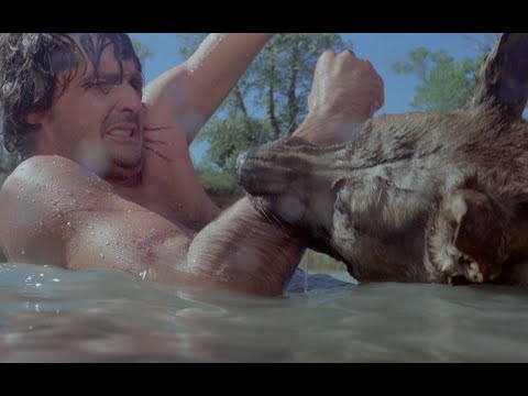 afbeelding Perro, El