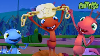 Download lagu Joey & Boo vs. the Giant Wrestling Ant! | Antiks 🐜 | Funny Cartoons for Kids mp3 Download lagu Joey & Boo vs. the Giant Wrestling Ant! | Antiks 🐜 | Funny Cartoons for Kids mp3