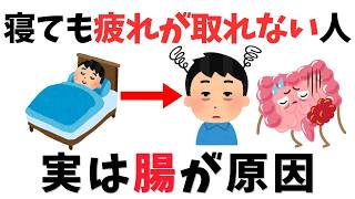 【9割が知らない健康雑学】寝ても疲れが取れない人の腸に起きていること