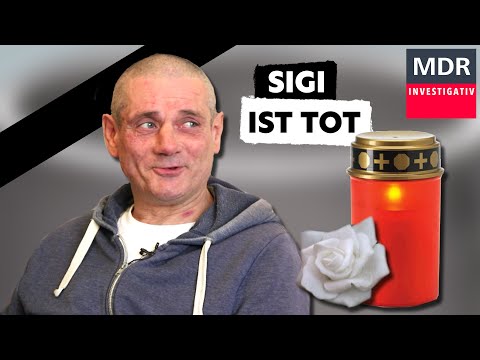 Betteln, Saufen, Sterben - Sigi ist tot