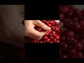 ASMR Crushing Cranberries Satisfying Cranberry Squish Sounds Cuttingasmr Relaxing Relax