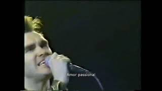 Morrissey - Pashernate Love