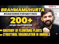 Anatomy Of Flowering Plants Top MCQs NEET 2025 Brahmamuhurta Series For NEET 2025