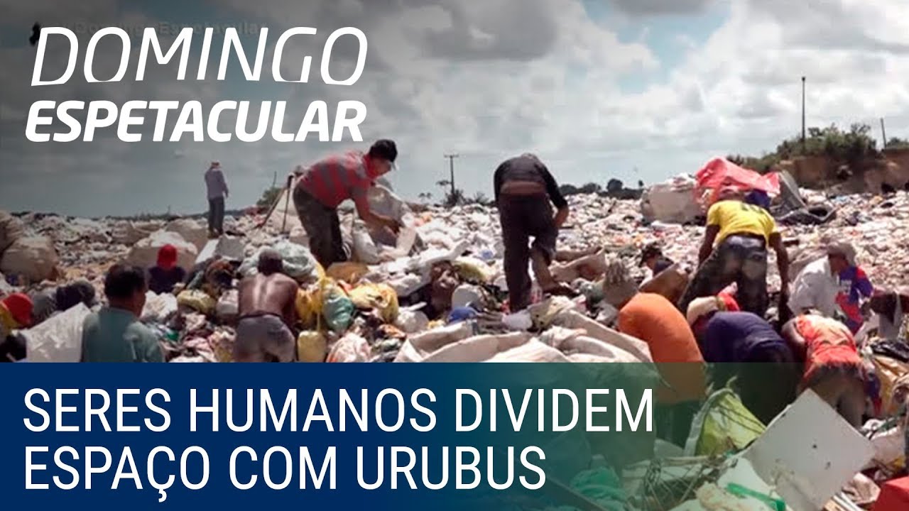 Conheça a dura realidade de quem sobrevive dos lixões