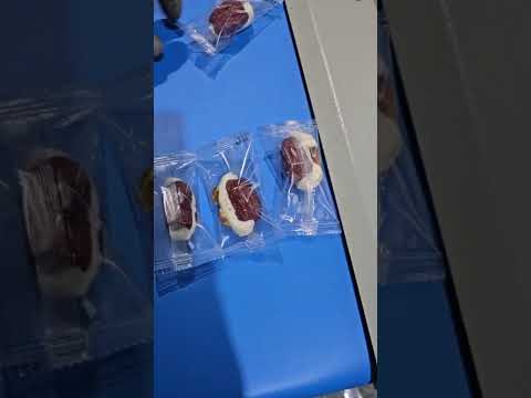 수평포장기