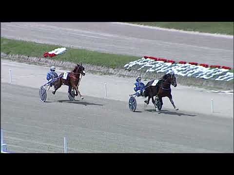 Napoli Trotto 12/05/2023 - prova di qualifica