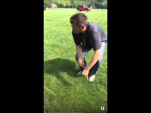 Common Ohio Lawn Problems