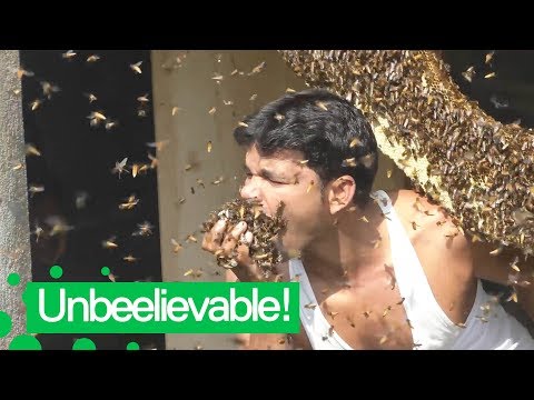 download lagu mp3 mp4 Live Bees, download lagu Live Bees gratis, unduh video klip Live Bees