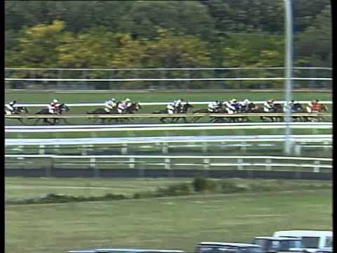 1993 Golden Slipper - Bint Marscay