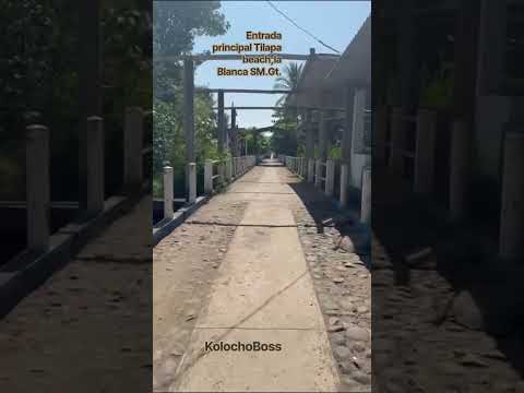 Entrada principal Tilapa Beach,La Blanca,San Marcos Guatemala 🇬🇹