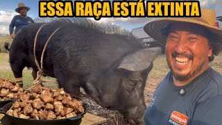 DIA DO CAPADÃO IR PARAR NA LATA