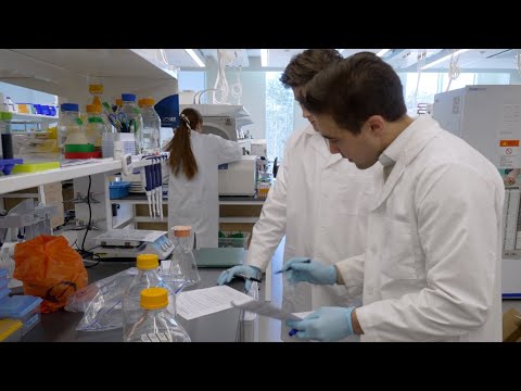 Dartmouth PhD Innovation Program: Steven Ionov - YouTube
