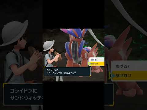 サンドウィッチをもらえず落ち込むコライドン　#Shorts