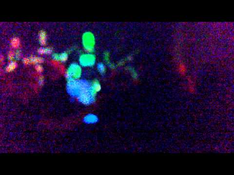 Obscure Mortuary live 2 09.10.10 Rostock Alte Zuckerfabrik