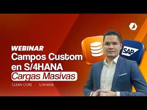 Cargas Masivas en S/4HANA con Campos Custom