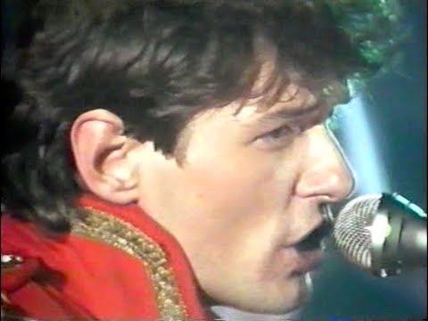 Falco, Drahdiwaberl, Danzer, Hansi Lang, Chuzpe, No Bros  u.a. - Austro Rock Pinkafeld 1981