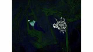 Drawn from Bees - Talk to God [Official Music Video]