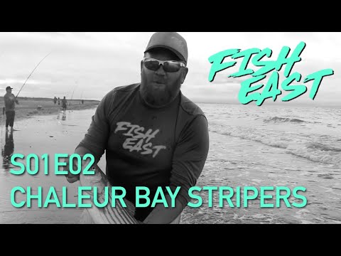 Fish East S01E02 | Chaleur Bay Stripers
