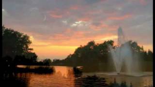 Nocturne en do dièse mineur (posthume) de Frédéric Chopin ( Dana Andreea Nigrim)