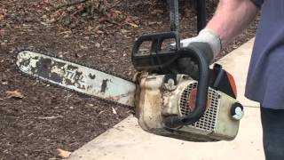 Tree Trimming at University Park