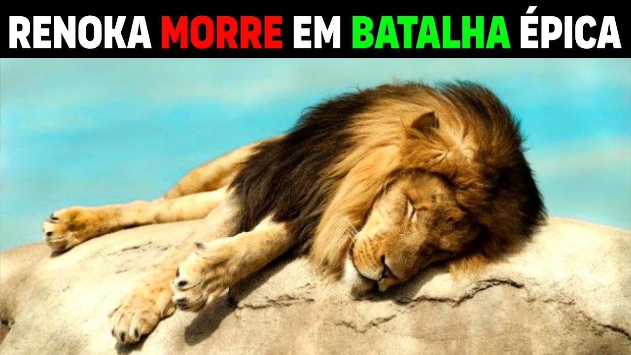 Renoka - WORLD'S TALLEST Lion dies in fight with 3 FIERCE LIONS 😭