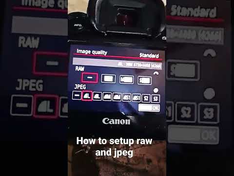 how to set the raw and jpeg in canon 5d mark 4