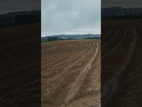 sao João do triunfo pr