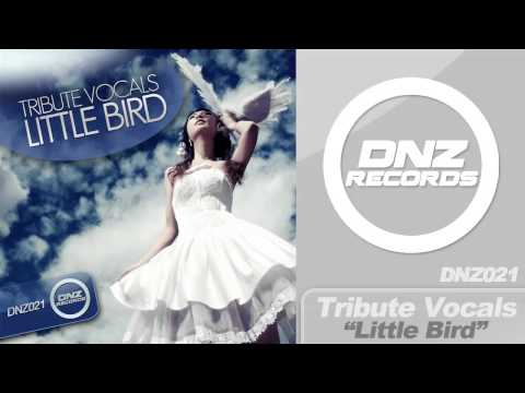 DNZ021 // TRIBUTE VOCALS - LITTLE BIRD (Official Video DNZ RECORDS)