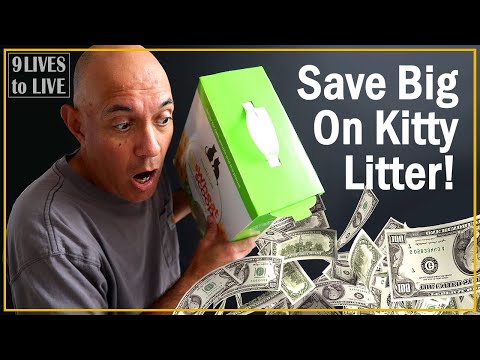 Save Money on Kitty Litter: Three Proven Tips