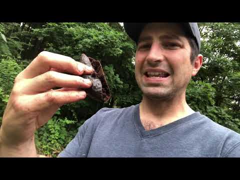 Hot compost. Kitchen compost. Vermicomposting. What’s the difference?