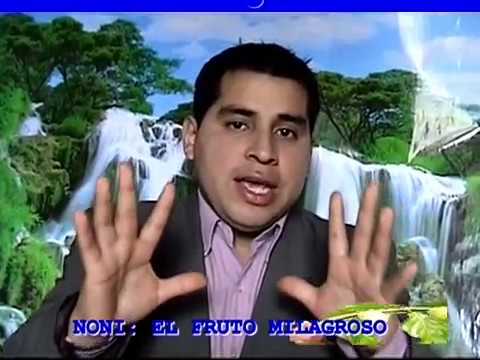 noni estudio completo 03 proxeronina , xeronina.