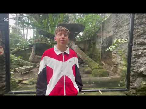 Zoológico de Santa Cruz- San Antonio del Tequendama 