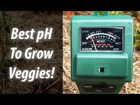 Garden Hacks: Best Soil pH For Your Vegetables (2019)