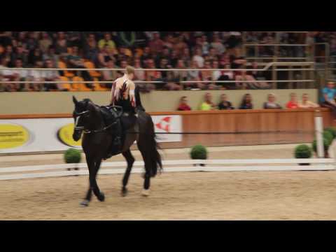 CVI Belgium 2016 - Lucy Phillips - Freestyle