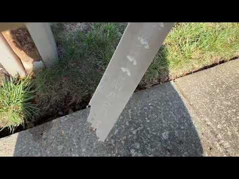 Yellow Jacket Nest in the Mailbox in...