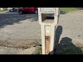 Yellow Jacket Nest in the Mailbox in Watchung, NJ