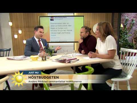 Anders Pihlblad: Så går budgetsnacket dagen efter - Nyhetsmorgon (TV4)