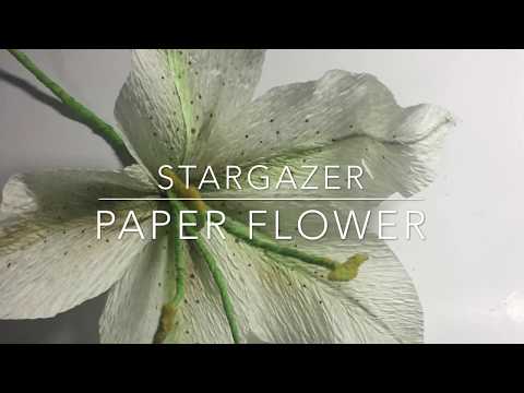 Craft your own Stargazer Lilies out of Paper