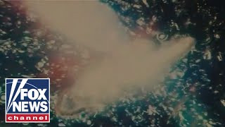 ‘Where did life come from’: New documentary tackles questions surrounding origins of life
